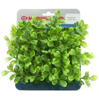 Marineland Boxwood Plant Mat Online now