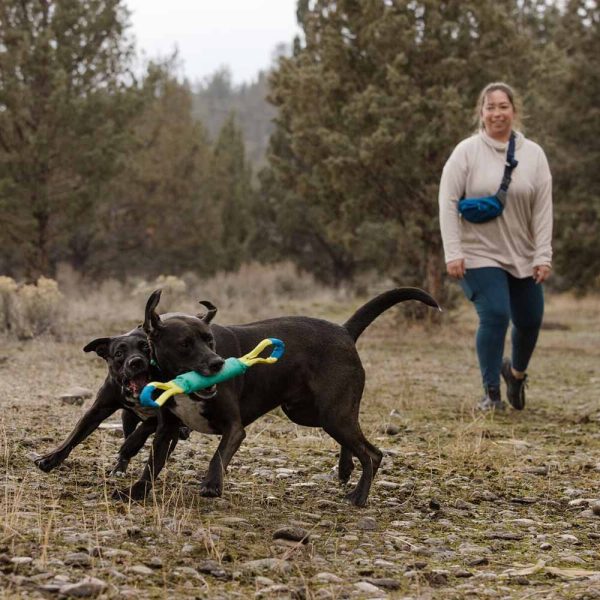 Ruffwear Pacific Loop Dog Toy (Aurora Teal) Hot on Sale