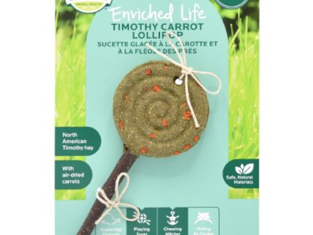 Oxbow Enriched Life Timothy Lollipop Chew Toy For Small Animals (Carrot) Hot on Sale