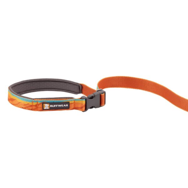 Ruffwear Flat Out Patterned Multi-Function Dog Leash (Fall Mountains) For Sale